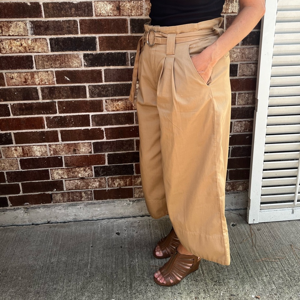 Anthropology Mauve Wide-Leg Pleated Cropped Chinos